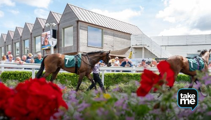 Afternoon Racing
