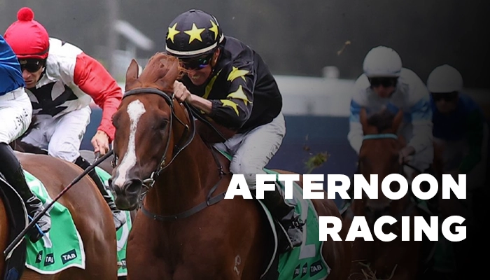 Afternoon Horse Racing in Catterick