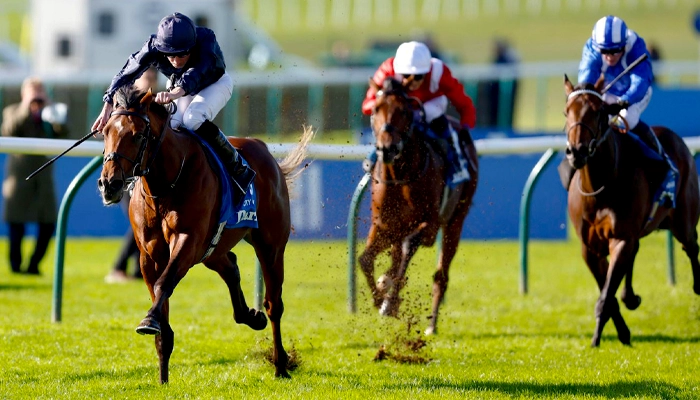 Catterick Horse Racing 2025