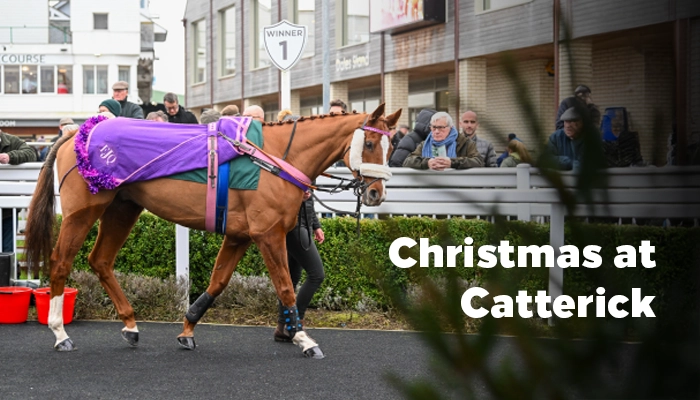 Christmas Day Horse Racing