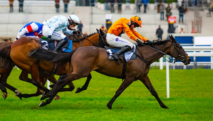 Evening Racing Catterick