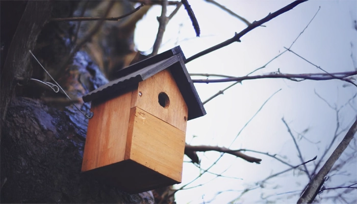 Rushden Build a birdbox, Nene Wetlands