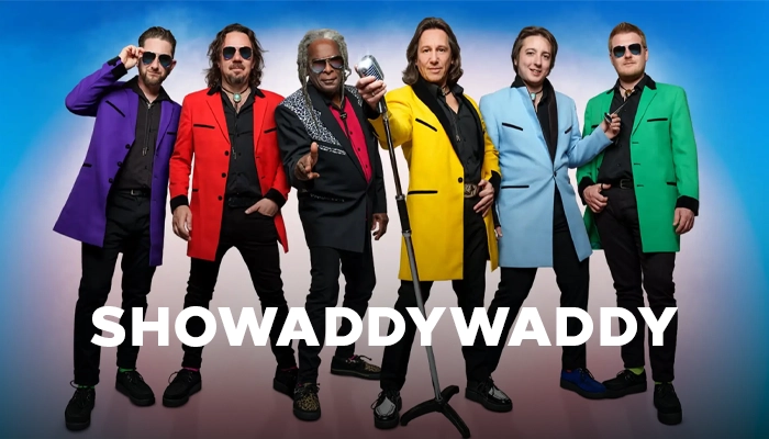SHOWADDYWADDY