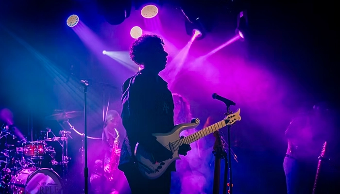 The Music of Prince Tribute Show