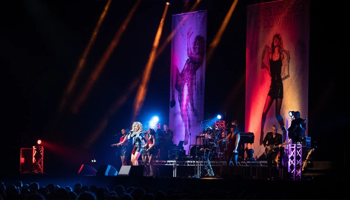 Tina Turner Tribute