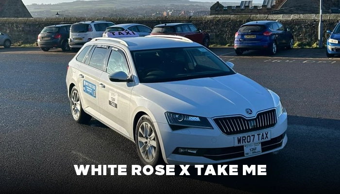 white rose